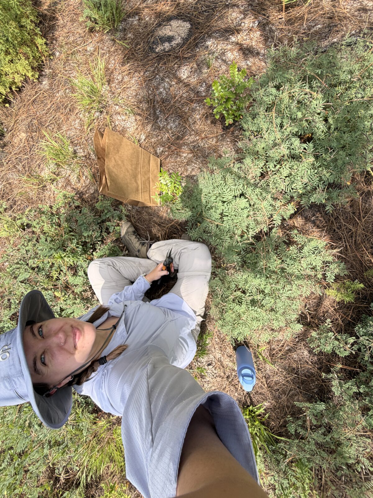 A photo of someone sitting on a pine needle covered forest floor.