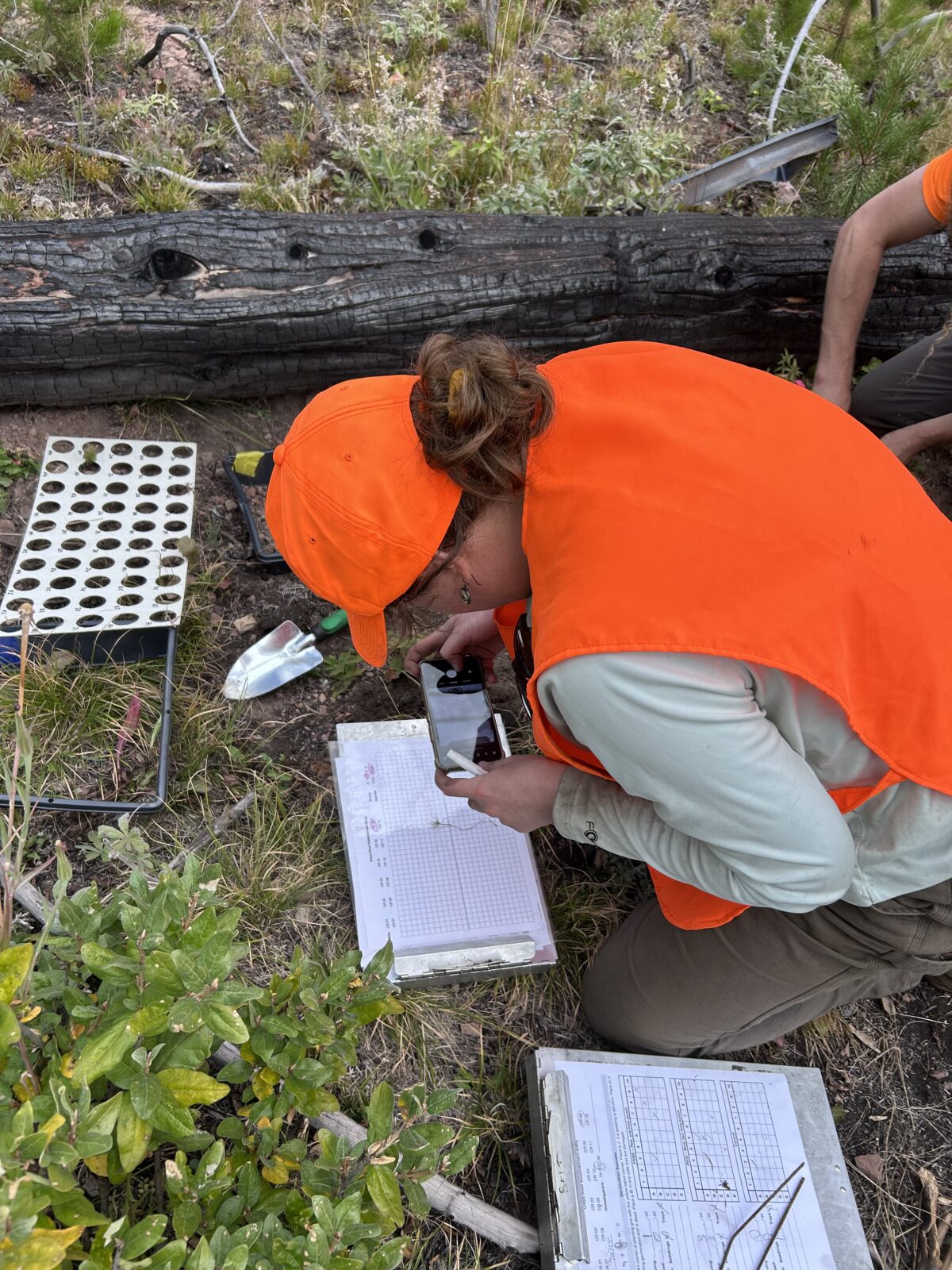 A person in orange high visibility clothing sitting on the ground with notebooks recording data.