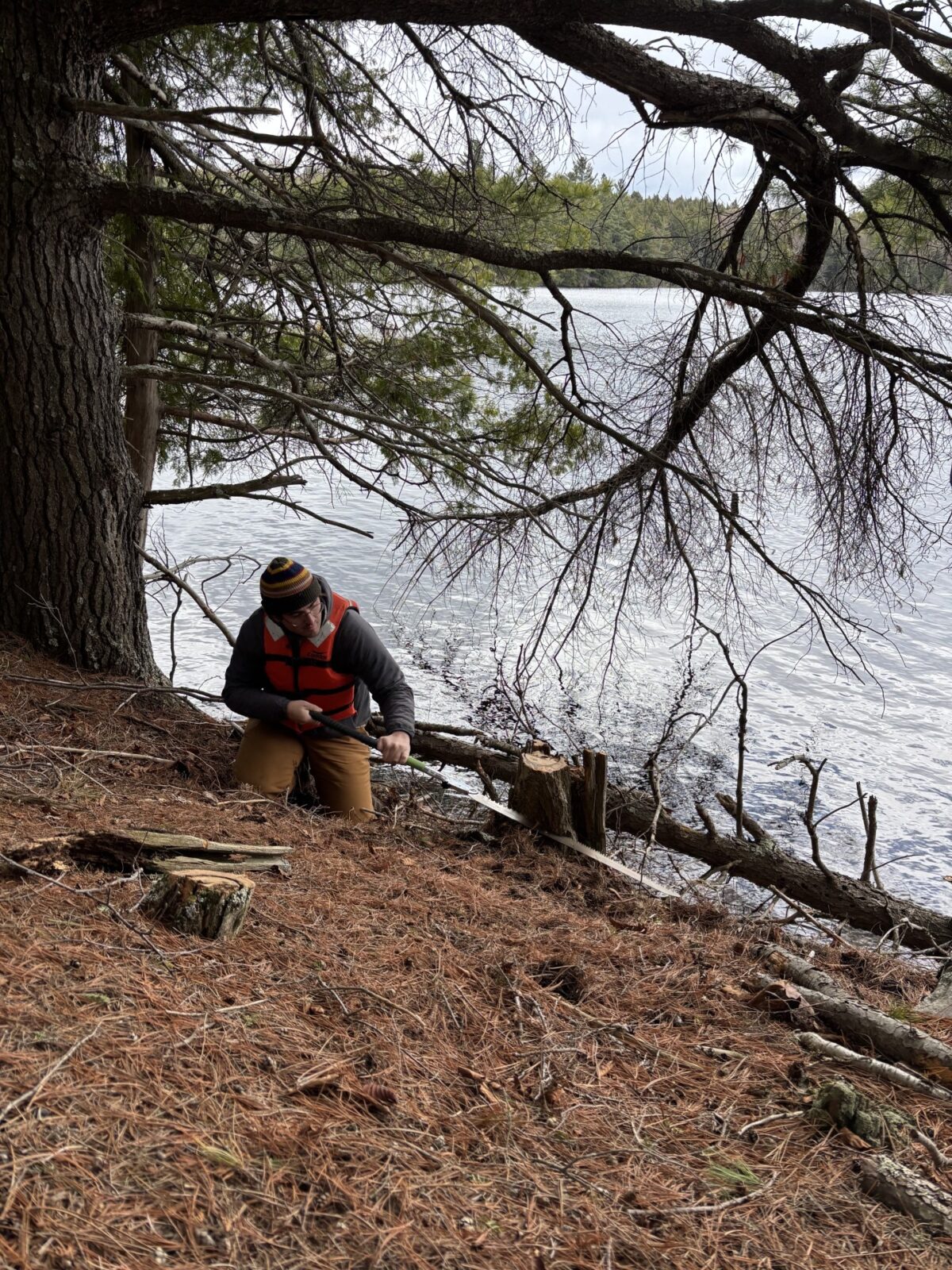 A photo of a person kneeling by a fire-burned stump on the shore of a lake.