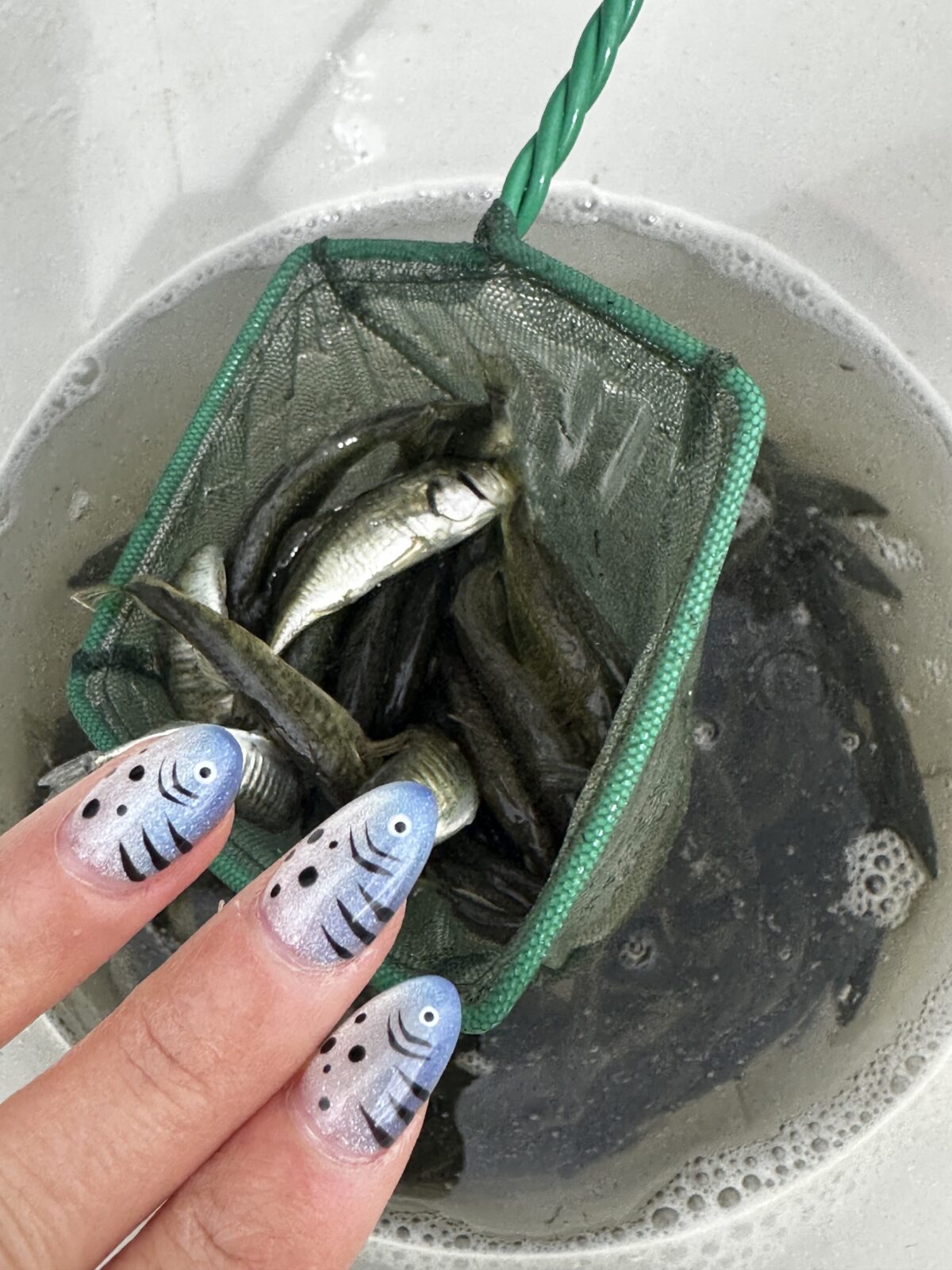 A small fish in a bucket and someone's nails painted to look like fish.